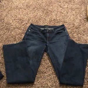 Ann Taylor The Boot Curvy Fit